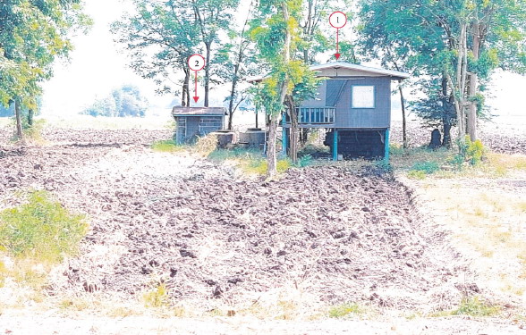 ขายทอดตลาด ที่ดินพร้อมสิ่งปลูกสร้าง ต.เนินมะกอก อ.พยุหะคีรี จ.นครสวรรค์