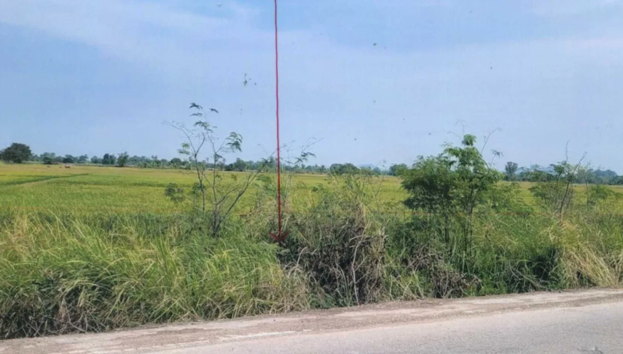 ขายทอดตลาด ที่ดินว่างเปล่า ต.ยางขาว อ.พยุหะคีรี จ.นครสวรรค์