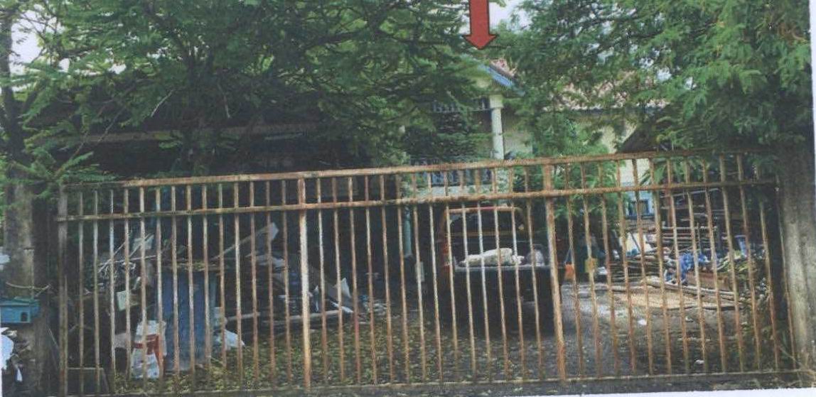 ขายทอดตลาด ที่ดินพร้อมสิ่งปลูกสร้าง ต.บางแม่นาง อ.บางใหญ่ จ.นนทบุรี