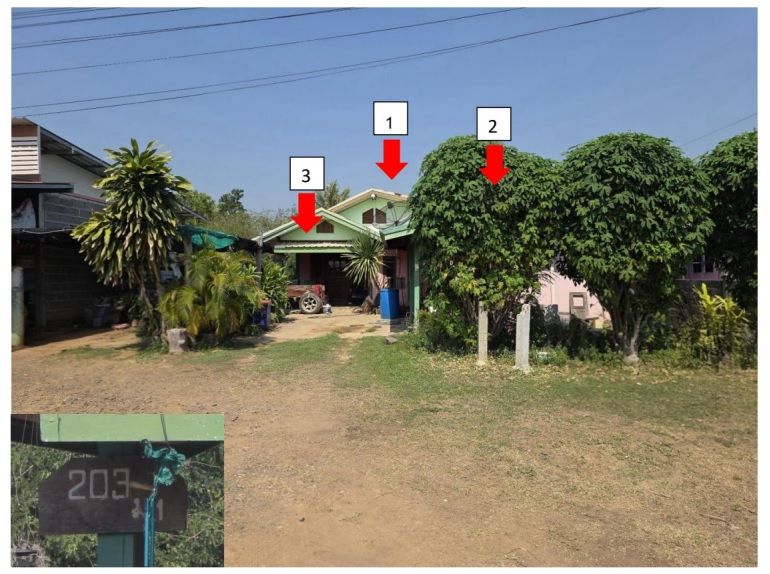 ขายทอดตลาด ที่ดินพร้อมสิ่งปลูกสร้าง ต.ตะขบ อ.ปักธงชัย จ.นครราชสีมา