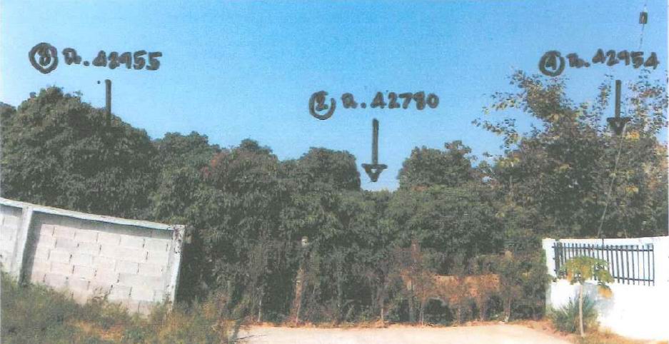 ขายทอดตลาด ที่ดินว่างเปล่า ต.ชมภู อ.สารภี จ.เชียงใหม่
