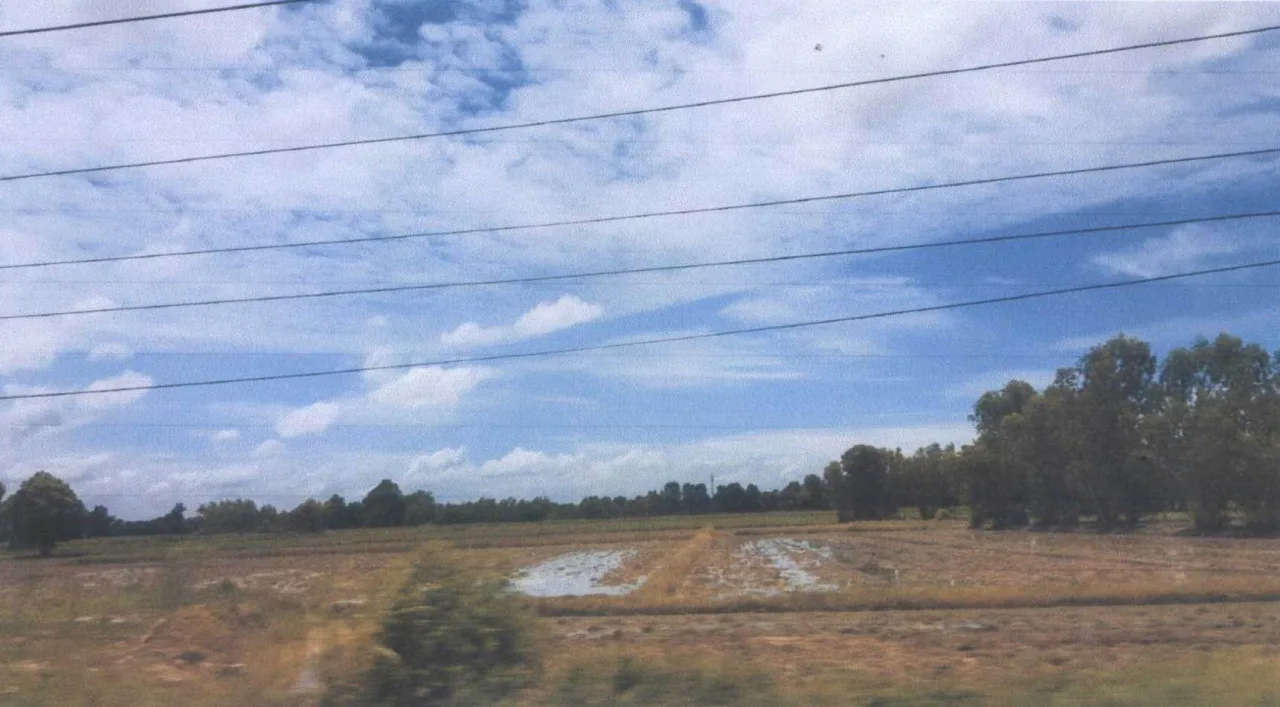 ขายทอดตลาด ที่ดินว่างเปล่า ต.หนองกระโดน อ.เมืองนครสวรรค์ จ.นครสวรรค์