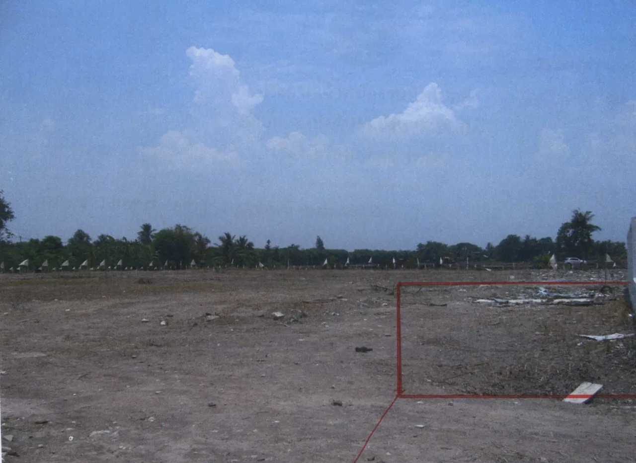 ขายทอดตลาด ที่ดินว่างเปล่า ต.บางแม่นาง อ.บางใหญ่ จ.นนทบุรี