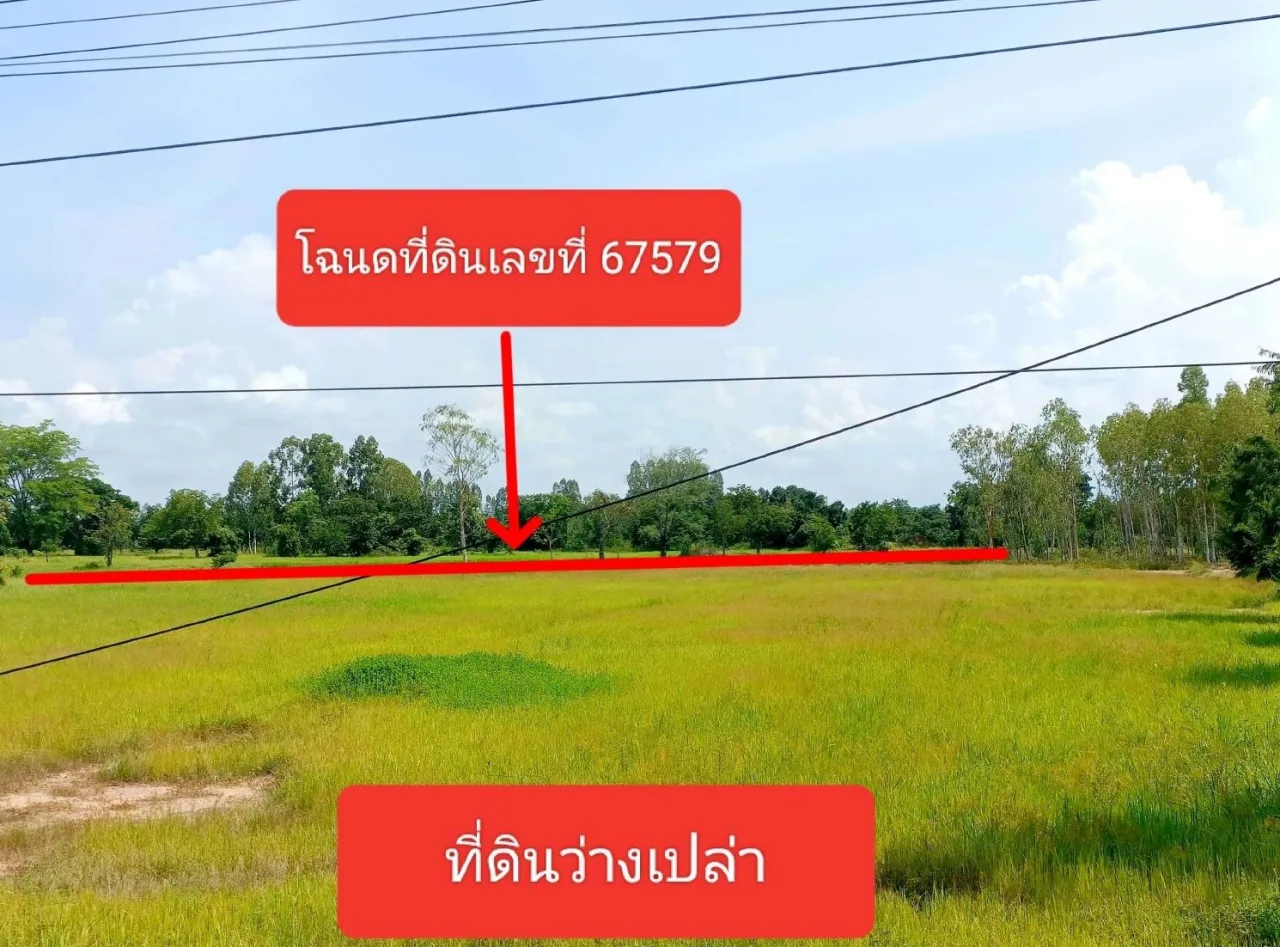 ขายทอดตลาด ที่ดินว่างเปล่า ต.สำโรง อ.โนนไทย จ.นครราชสีมา