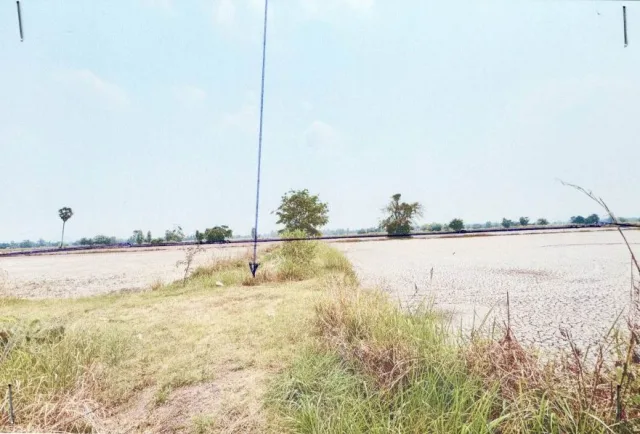ขายทอดตลาด ที่ดินว่างเปล่า ต.กุดพิมาน อ.ด่านขุนทด จ.นครราชสีมา