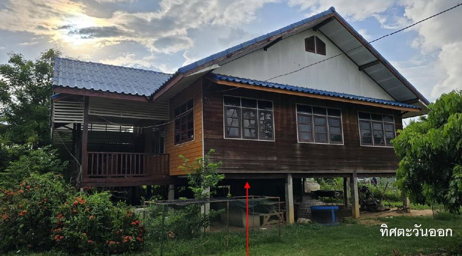 ขายทอดตลาด ที่ดินพร้อมสิ่งปลูกสร้าง ต.สารภี อ.หนองบุญมาก จ.นครราชสีมา