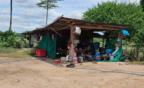 ขายทอดตลาด ที่ดินพร้อมสิ่งปลูกสร้าง ต.หนองโสน อ.เลาขวัญ จ.กาญจนบุรี