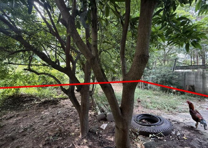 ขายทอดตลาด ที่ดินว่างเปล่า ต.ท่าแค อ.เมืองพัทลุง จ.พัทลุง