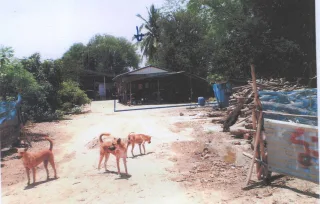 รูปทรัพย์ 2