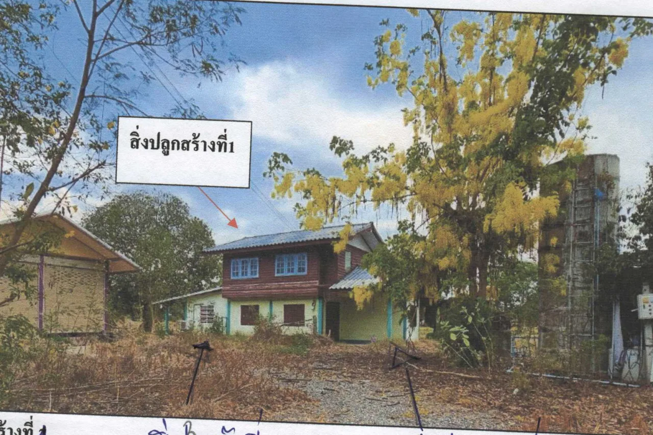 ขายทอดตลาด ที่ดินพร้อมสิ่งปลูกสร้าง ต.เนินขี้เหล็ก อ.ลาดยาว จ.นครสวรรค์