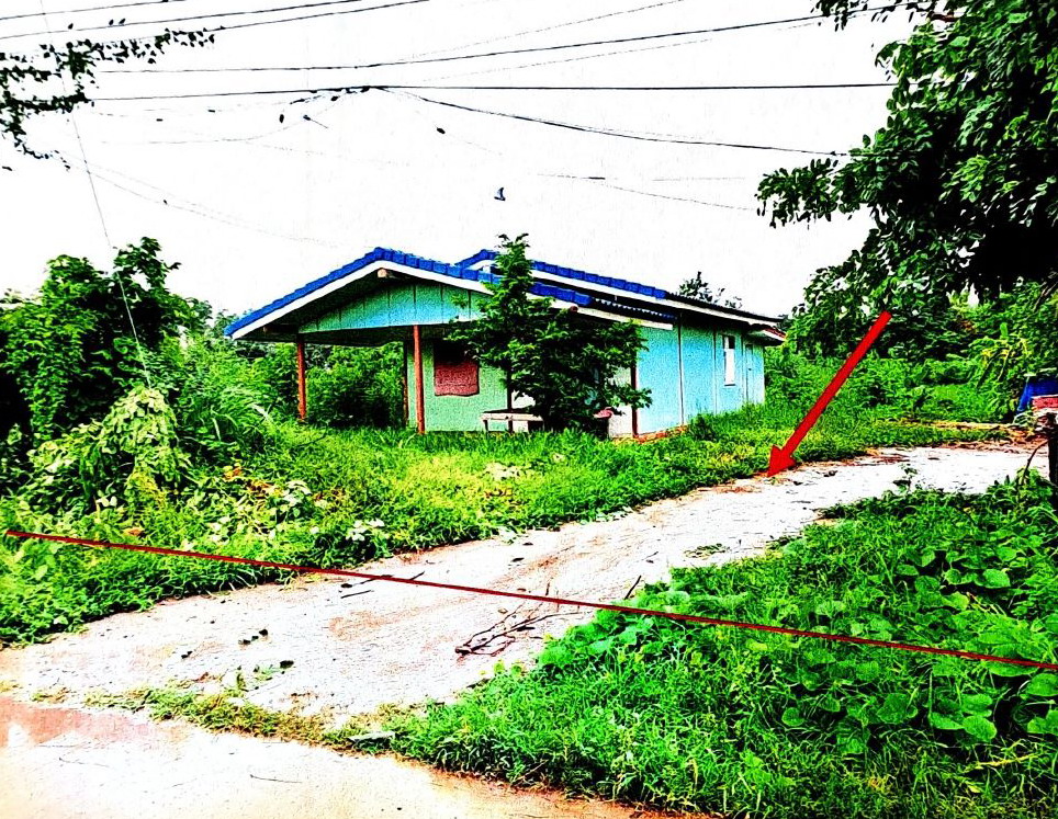 ขายทอดตลาด ที่ดินว่างเปล่า ต.หนองเต่า อ.เก้าเลี้ยว จ.นครสวรรค์