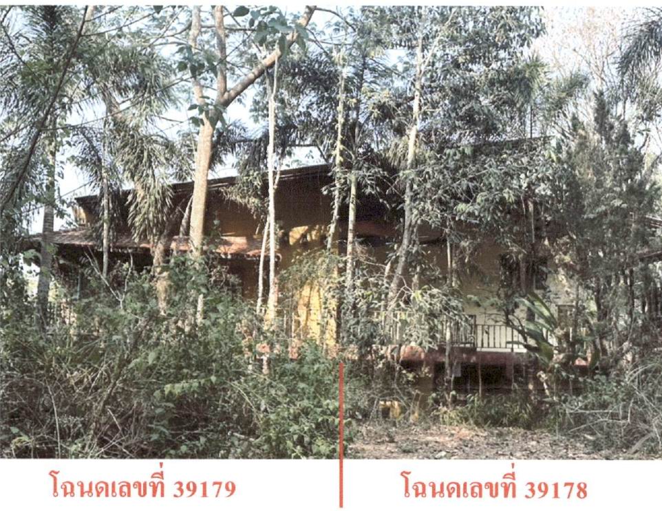 ขายทอดตลาด ที่ดินพร้อมสิ่งปลูกสร้าง ต.แม่แรม อ.แม่ริม จ.เชียงใหม่