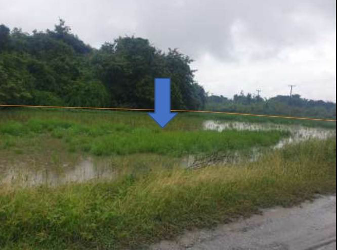 ขายทอดตลาด ที่ดินว่างเปล่า ต.หนองไผ่ อ.เมืองอุดรธานี จ.อุดรธานี