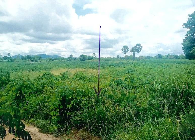 ขายทอดตลาด ที่ดินว่างเปล่า ต.หนองโรง อ.พนมทวน จ.กาญจนบุรี
