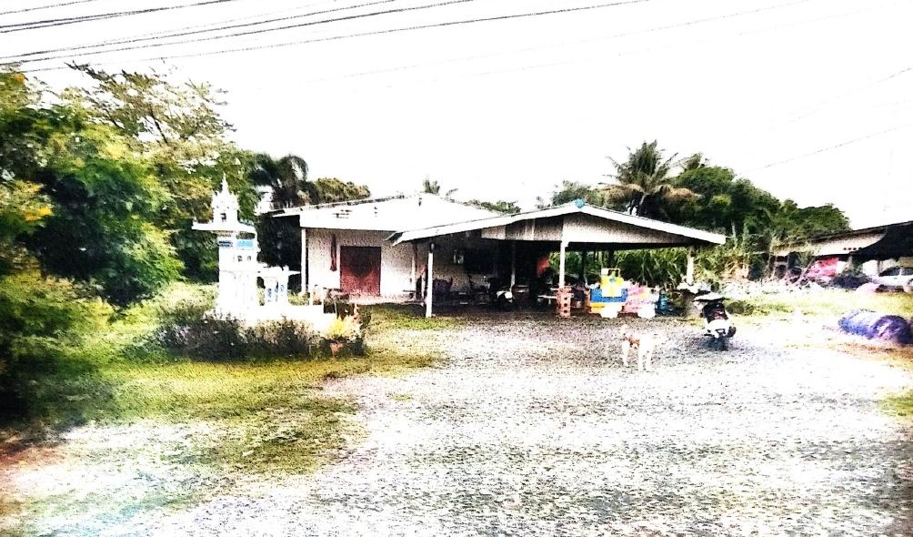 ขายทอดตลาด ที่ดินพร้อมสิ่งปลูกสร้าง ต.วังขนาย อ.ท่าม่วง จ.กาญจนบุรี
