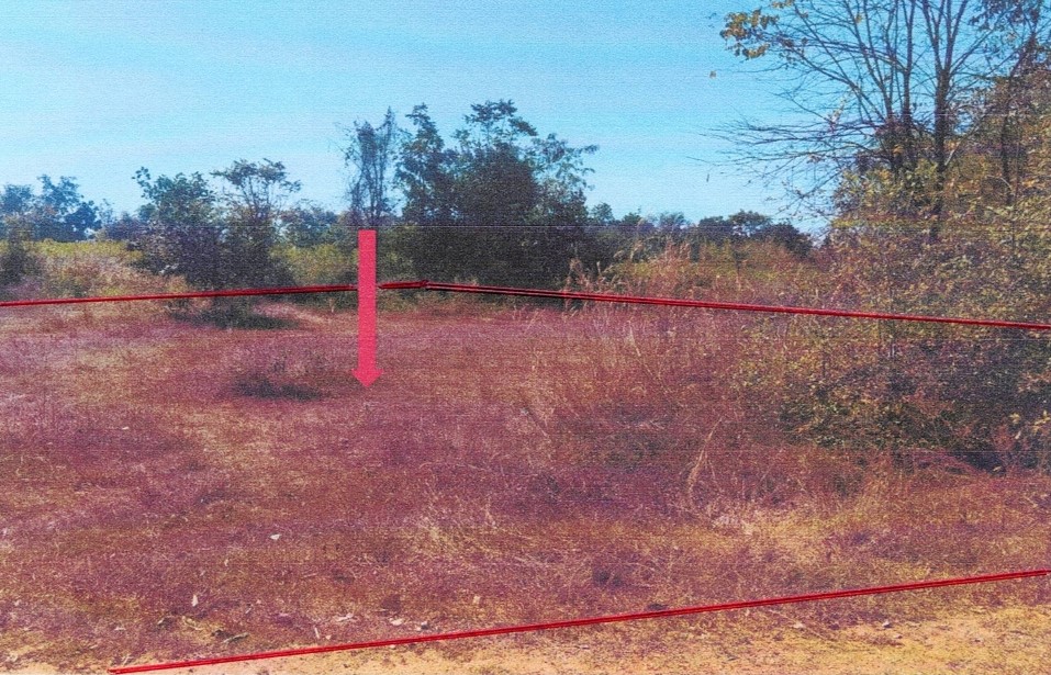 ขายทอดตลาด ที่ดินว่างเปล่า ต.ตูม อ.ปักธงชัย จ.นครราชสีมา