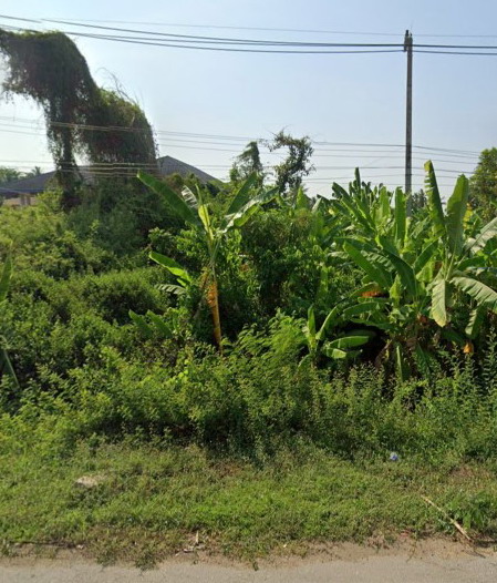 ขายทอดตลาด ที่ดินว่างเปล่า ต.ตาขีด อ.บรรพตพิสัย จ.นครสวรรค์