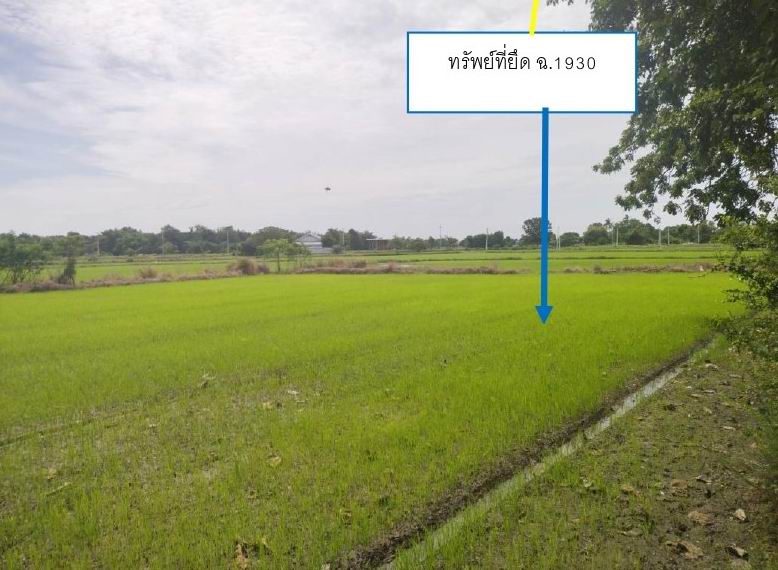 ขายทอดตลาด ที่ดินว่างเปล่า จ.กาญจนบุรี