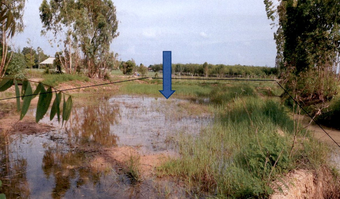 ขายทอดตลาด ที่ดินว่างเปล่า ต.หนองกุงศรี อ.หนองกุงศรี จ.กาฬสินธุ์