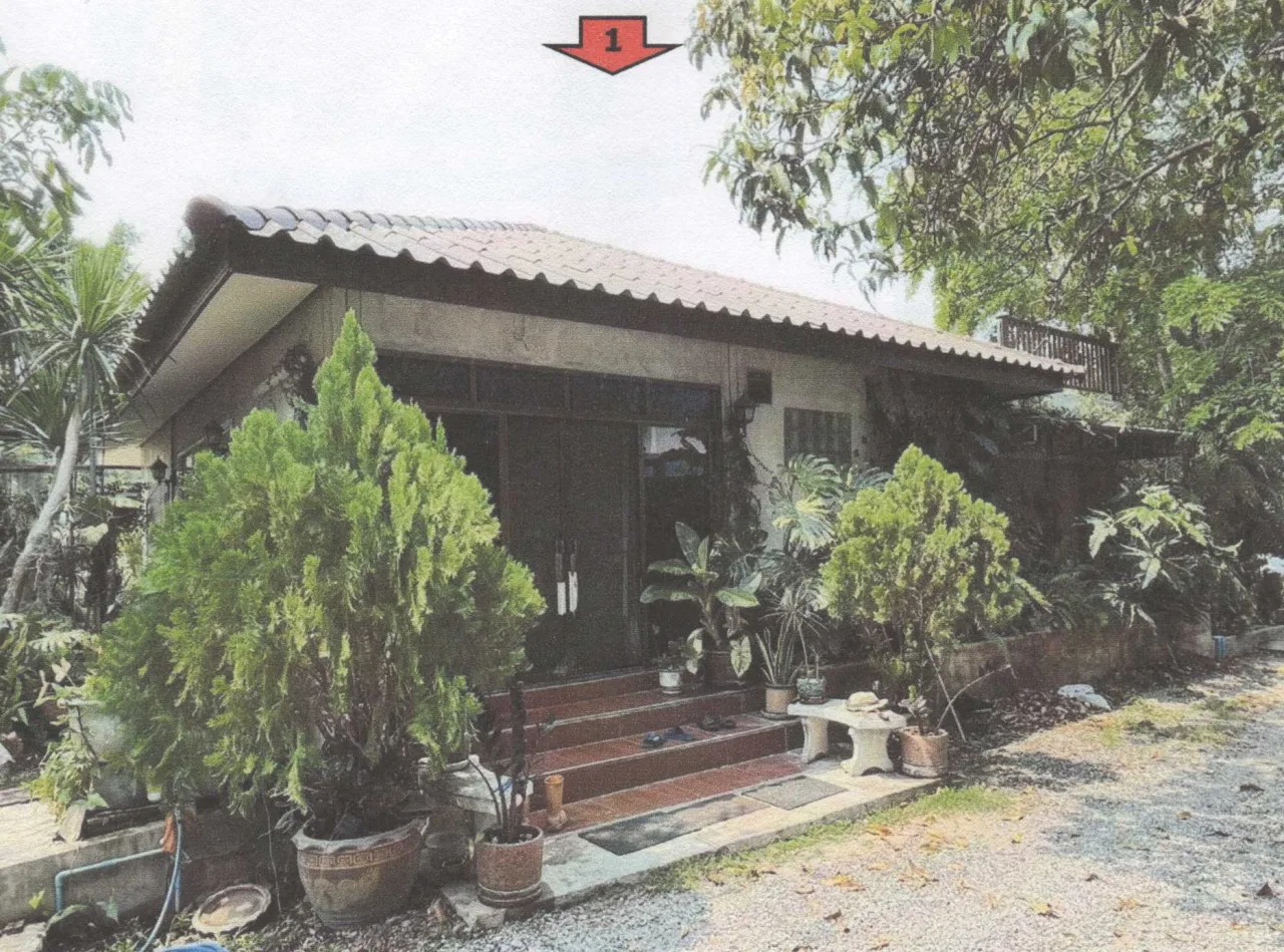 ขายทอดตลาด ที่ดินพร้อมสิ่งปลูกสร้าง ต.ตาคลี อ.ตาคลี จ.นครสวรรค์