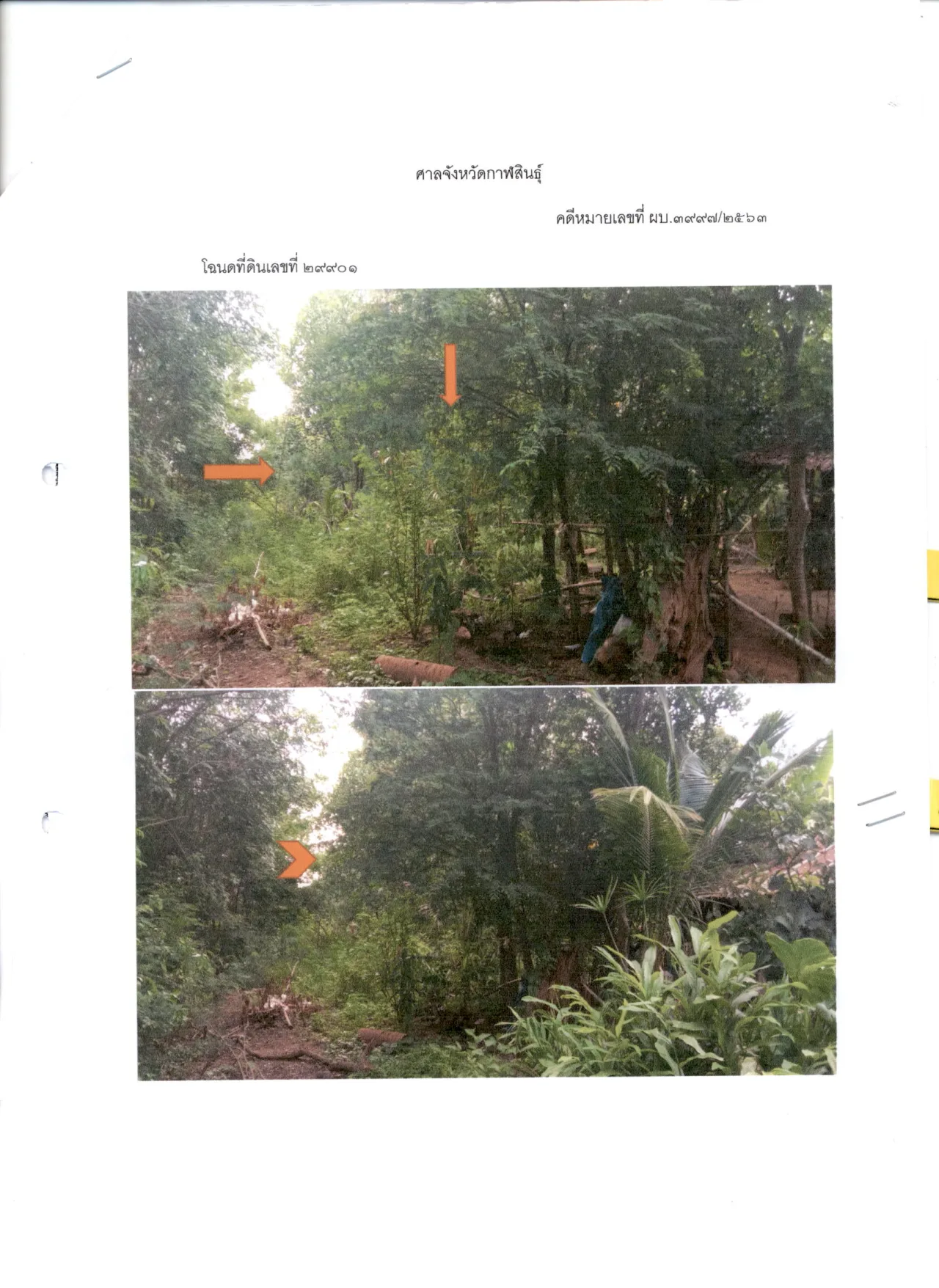 ขายทอดตลาด ที่ดินว่างเปล่า ต.จุมจัง อ.กุฉินารายณ์ จ.กาฬสินธุ์