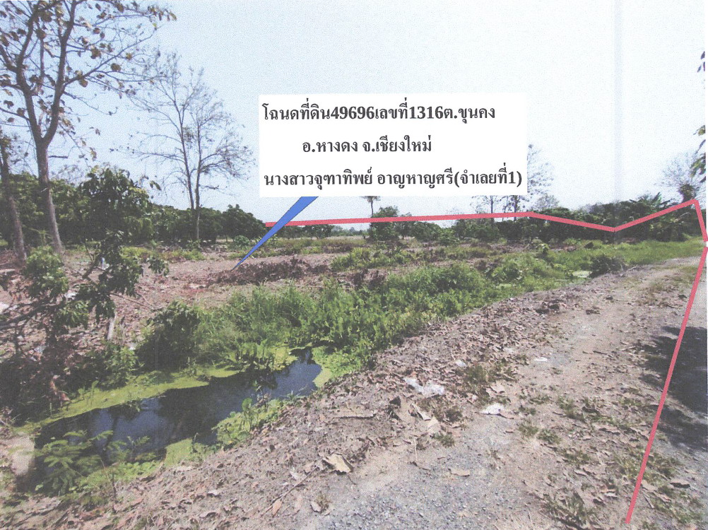 ขายทอดตลาด ที่ดินว่างเปล่า ต.ขุนคง อ.หางดง จ.เชียงใหม่