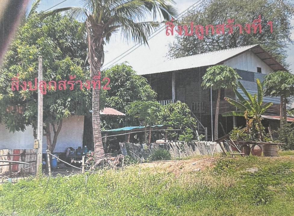 ขายทอดตลาด ที่ดินพร้อมสิ่งปลูกสร้าง ต.น้ำทรง อ.พยุหะคีรี จ.นครสวรรค์