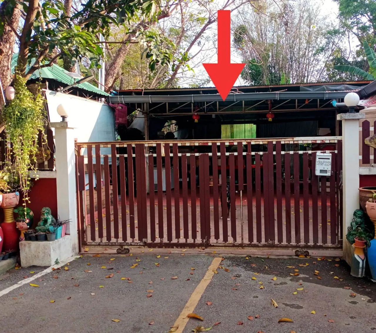 ขายทอดตลาด ที่ดินพร้อมสิ่งปลูกสร้าง ต.ป่าแดด อ.เมืองเชียงใหม่ จ.เชียงใหม่
