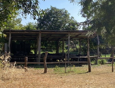 ขายทอดตลาด ที่ดินพร้อมสิ่งปลูกสร้าง ต.พังเทียม อ.พระทองคำ จ.นครราชสีมา