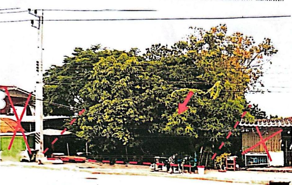 ขายทอดตลาด ที่ดินว่างเปล่า ต.วัดไทรย์ อ.เมืองนครสวรรค์ จ.นครสวรรค์