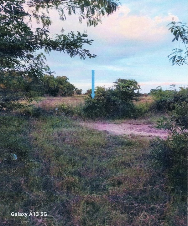 ขายทอดตลาด ที่ดินว่างเปล่า จ.นครราชสีมา