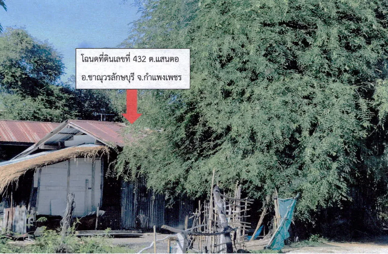 ขายทอดตลาด ที่ดินพร้อมสิ่งปลูกสร้าง ต.แสนตอ อ.ขาณุวรลักษบุรี จ.กำแพงเพชร