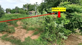 รูปทรัพย์ 2
