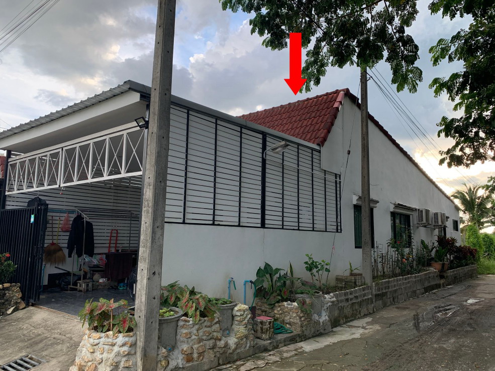 ขายทอดตลาด ที่ดินพร้อมสิ่งปลูกสร้าง ต.สันปูเลย อ.ดอยสะเก็ด จ.เชียงใหม่