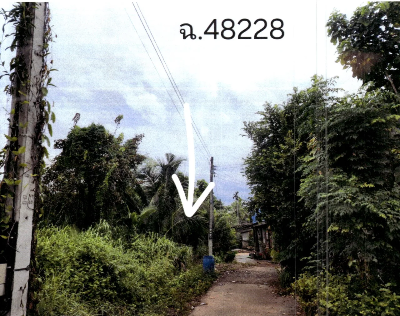 ขายทอดตลาด ที่ดินว่างเปล่า ต.ด่านเกวียน อ.โชคชัย จ.นครราชสีมา