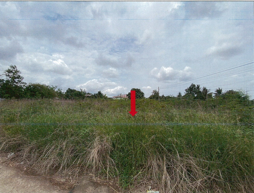 ขายทอดตลาด ที่ดินว่างเปล่า ต.หนองบัว อ.หนองบัว จ.นครสวรรค์