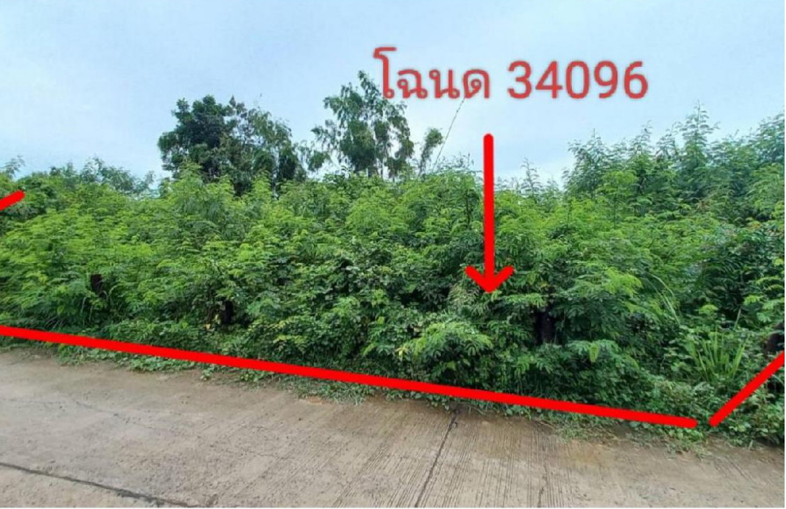 ขายทอดตลาด ที่ดินว่างเปล่า ต.พระเสาร์ อ.มหาชนะชัย จ.ยโสธร