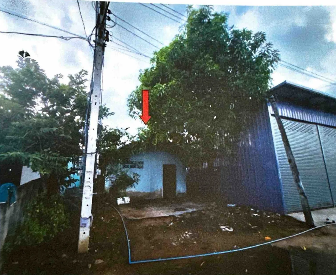 ขายทอดตลาด ที่ดินพร้อมสิ่งปลูกสร้าง ต.ไพศาลี อ.ไพศาลี จ.นครสวรรค์