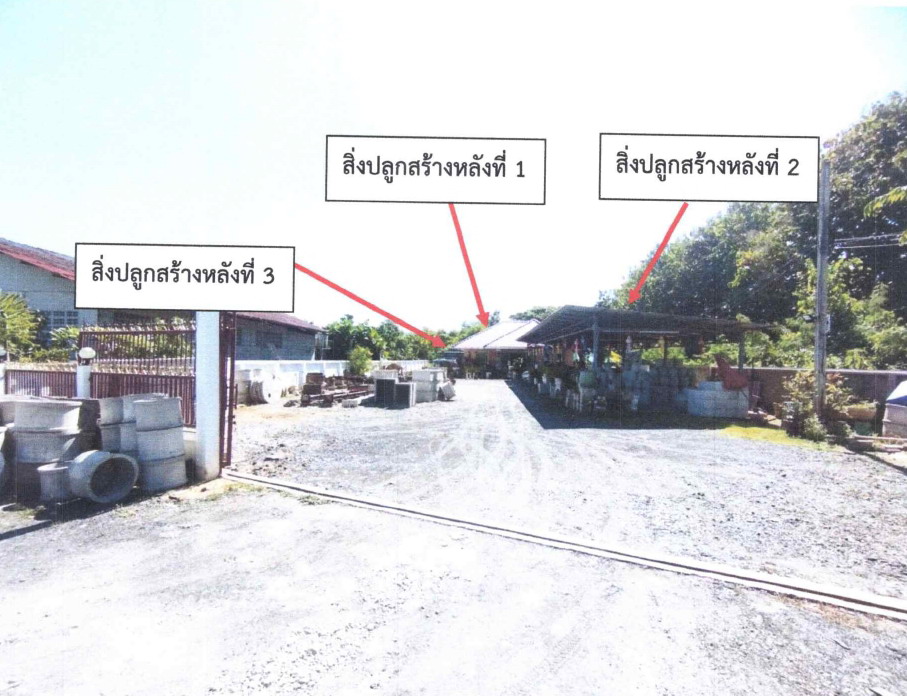 ขายทอดตลาด ที่ดินพร้อมสิ่งปลูกสร้าง ต.ดอนแก้ว อ.สารภี จ.เชียงใหม่