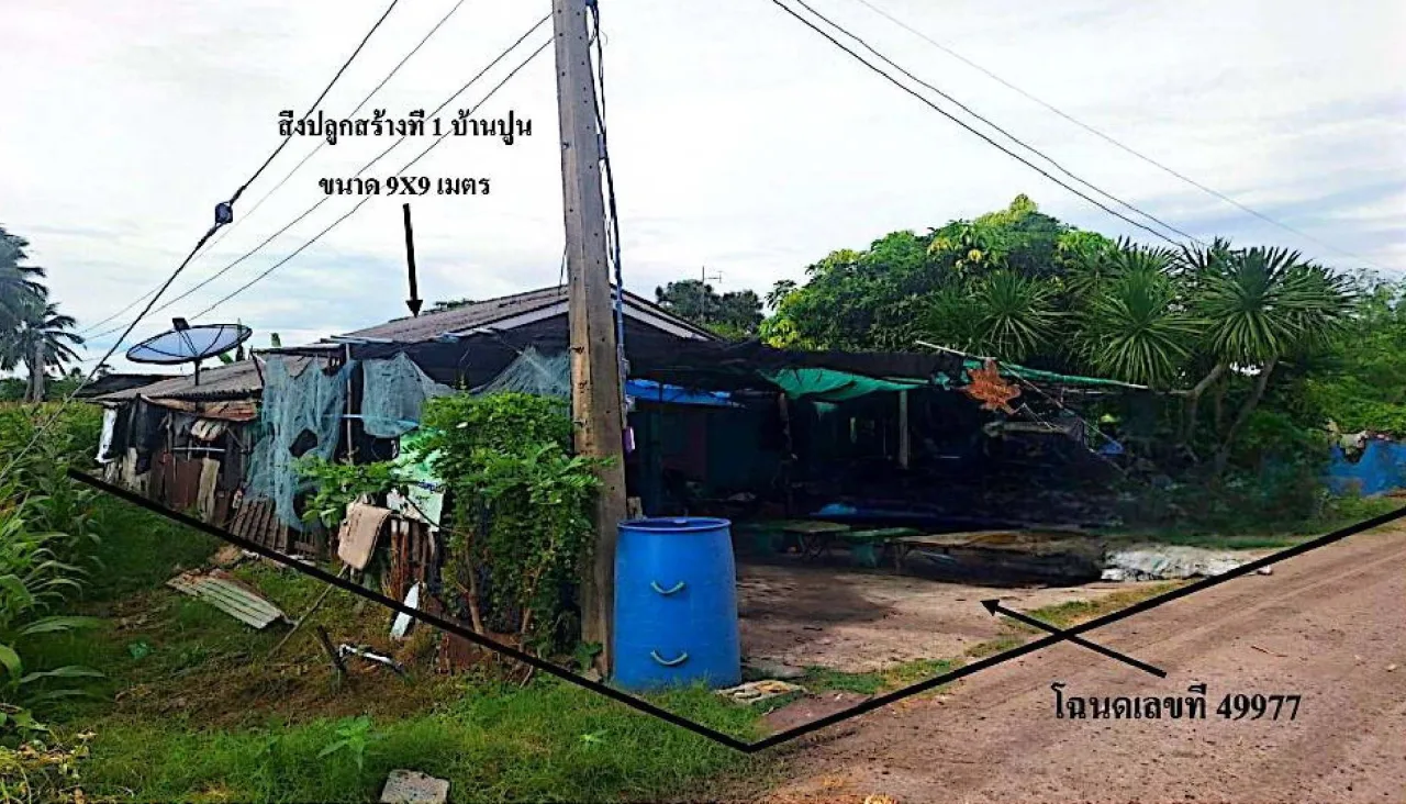 ขายทอดตลาด ที่ดินพร้อมสิ่งปลูกสร้าง ต.ตาคลี อ.ตาคลี จ.นครสวรรค์