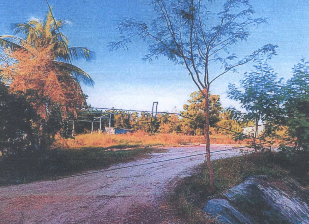 ขายทอดตลาด ที่ดินพร้อมสิ่งปลูกสร้าง ต.เนินขี้เหล็ก อ.ลาดยาว จ.นครสวรรค์