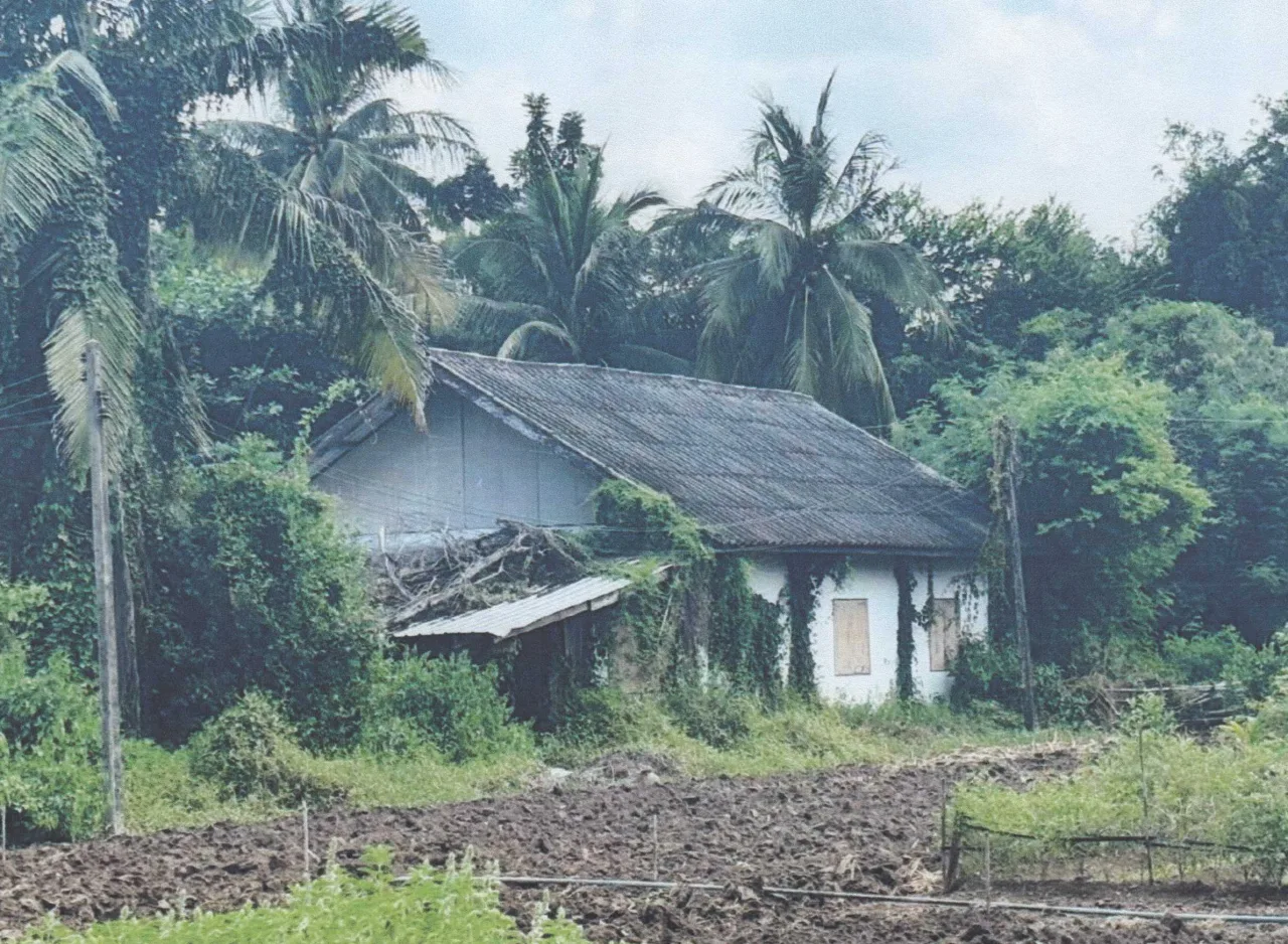 ขายทอดตลาด ที่ดินพร้อมสิ่งปลูกสร้าง ต.เขากะลา อ.พยุหะคีรี จ.นครสวรรค์