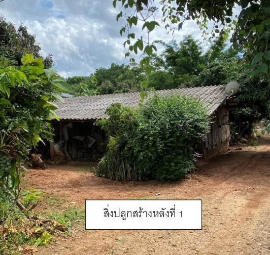 ขายทอดตลาด ที่ดินพร้อมสิ่งปลูกสร้าง ต.น้ำแพร่ อ.พร้าว จ.เชียงใหม่