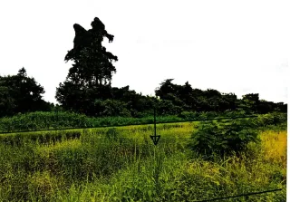 รูปทรัพย์ 2