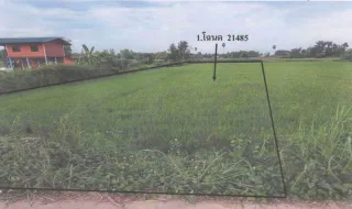 รูปทรัพย์ 1
