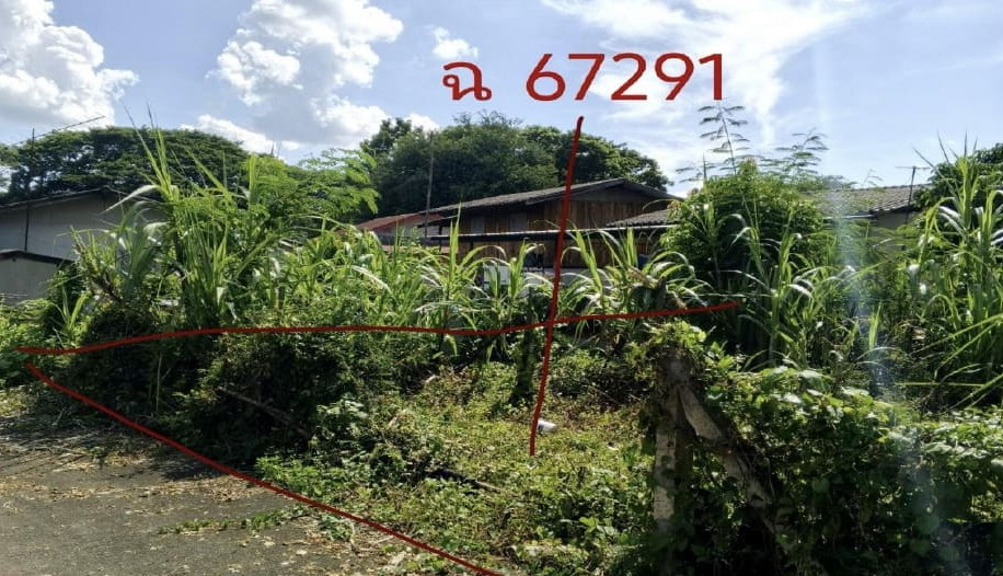 ขายทอดตลาด ที่ดินว่างเปล่า ต.มะขุนหวาน อ.สันป่าตอง จ.เชียงใหม่