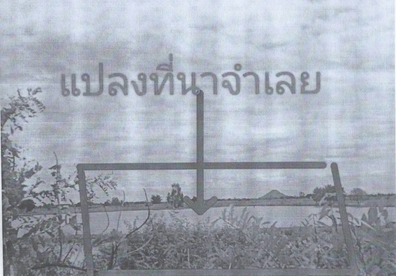 ขายทอดตลาด ที่ดินว่างเปล่า ต.ทับกฤช อ.ชุมแสง จ.นครสวรรค์