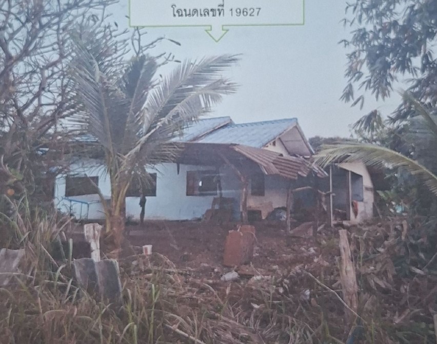 ขายทอดตลาด ที่ดินพร้อมสิ่งปลูกสร้าง ต.ทองหลาง อ.จักราช จ.นครราชสีมา