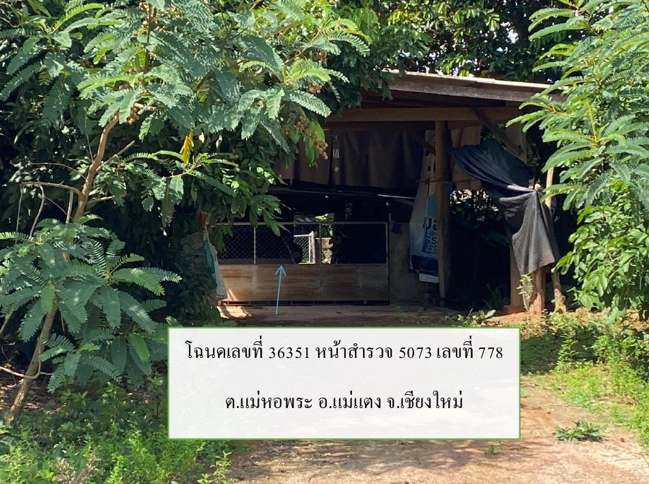 ขายทอดตลาด ที่ดินพร้อมสิ่งปลูกสร้าง ต.แม่หอพระ อ.แม่แตง จ.เชียงใหม่