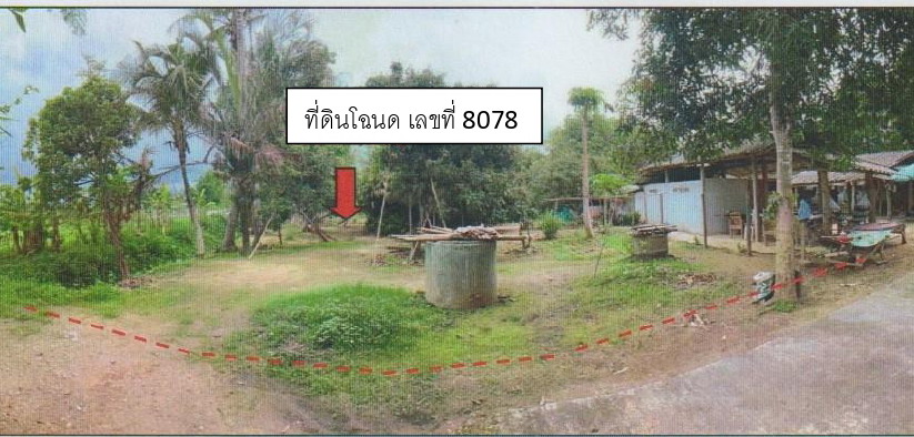 ขายทอดตลาด ที่ดินว่างเปล่า ต.สันมหาพน อ.แม่แตง จ.เชียงใหม่